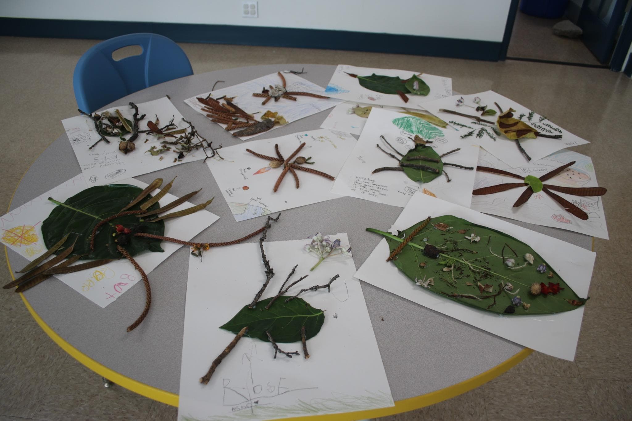 A round classroom table covered in nine sheets of paper, each carrying an invented insect built from leaves, seed pods, twigs and petals, with handwritten labels and drawings around them.