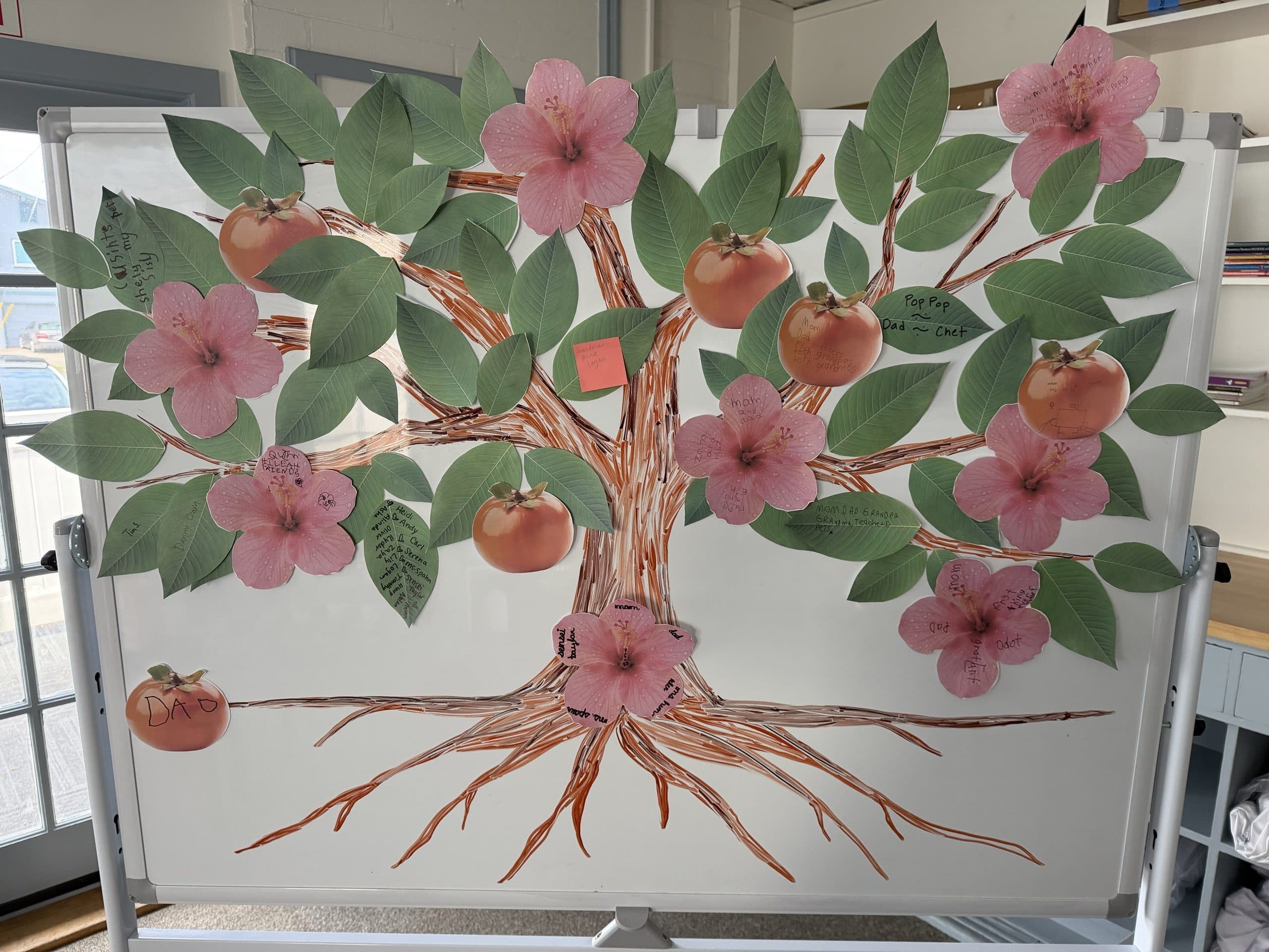 A class family tree drawn on a rolling whiteboard: a brown marker trunk and roots, paper leaves, pink paper hibiscus flowers and paper fruit pinned along the branches, written on in children's handwriting with the people in their lives: family, friends and teachers.